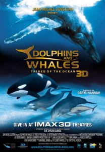 Dolphins and Whales 3D Poster
