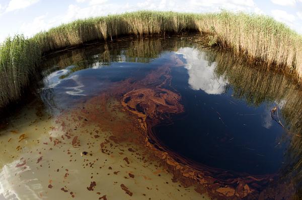 The first oil from the Deepwater Horizon spill invades the marsh of Pass A Loutre. © Carrie Vonderhaar, Ocean Futures Society