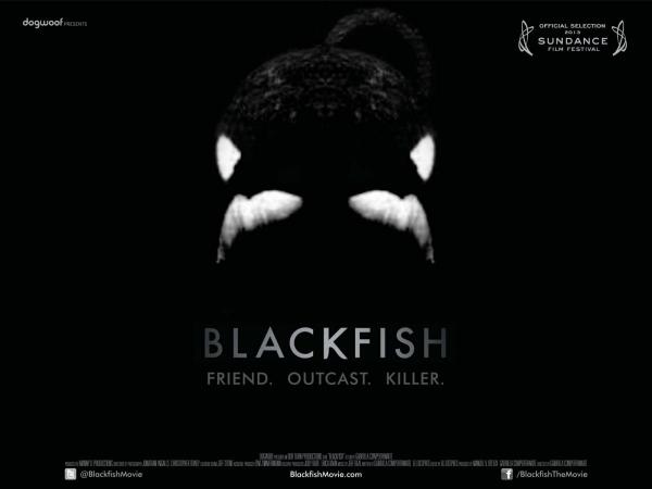 Dogwoof_Documentary_Blackfish_Quad_New_1600_1200_85_0.jpg