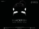 Dogwoof_Documentary_Blackfish_Quad_New_1600_1200_85_0_0.jpg