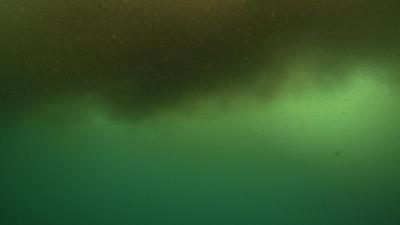 Oil from the Deep Horizon oil spill as seen from below the surface