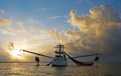 Shrimp Boat at Sunrise
