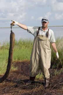 Ocean Futures Society Director of Photography with an oil soaked boom from the Deepwater Horizon Disaster