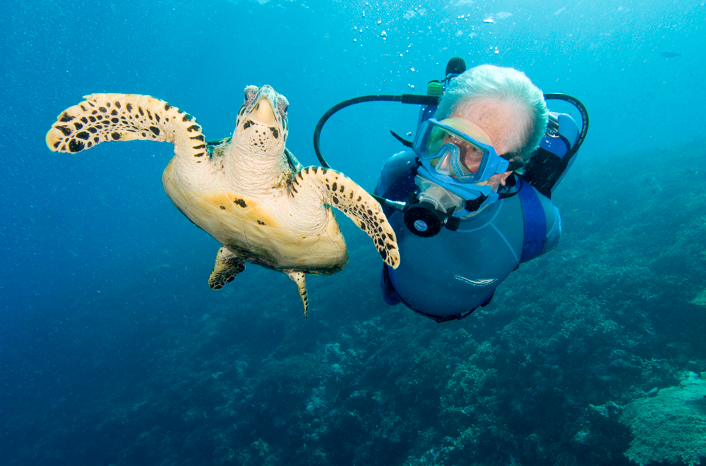 Jean-Michel Cousteau swims underwater with a Hawksbill Turtle in Papua New Guinea