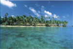 Ocean Futures Society Online Holiday Auction: 7 night stay at the Jean-Michel Cousteau Fiji Islands Resort