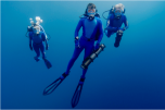 Ocean Futures Society Online Holiday Auction: Ocean Futures Society's Expedition Team Wetsuit