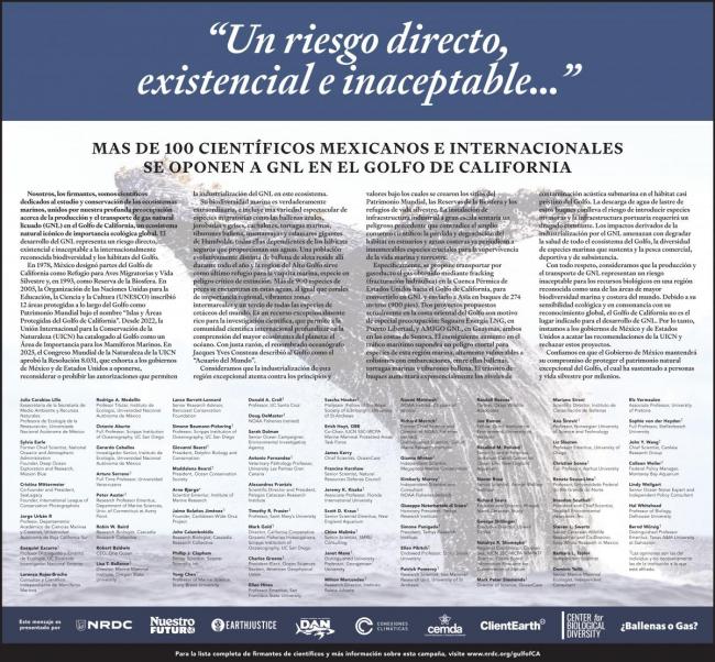 gulf lng.scientist ad.spanish.final final.PRINT__0.jpg